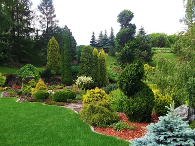 Zielono mi - usługi ogrodnicze, pielęgnacja ogrodu, ogrodnik